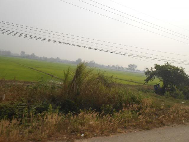 DSCN2331.jpg