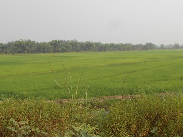 DSCN2341.jpg