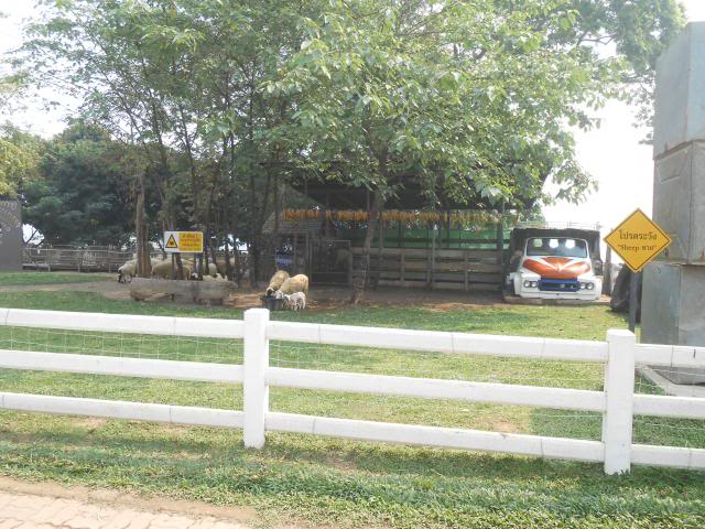 DSCN2374.jpg