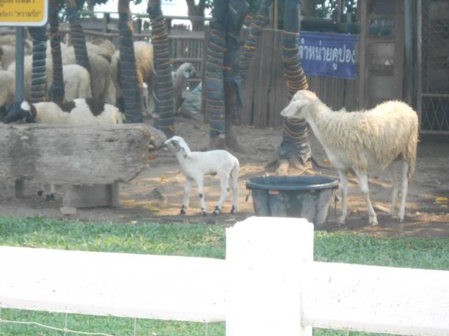 DSCN2377.jpg
