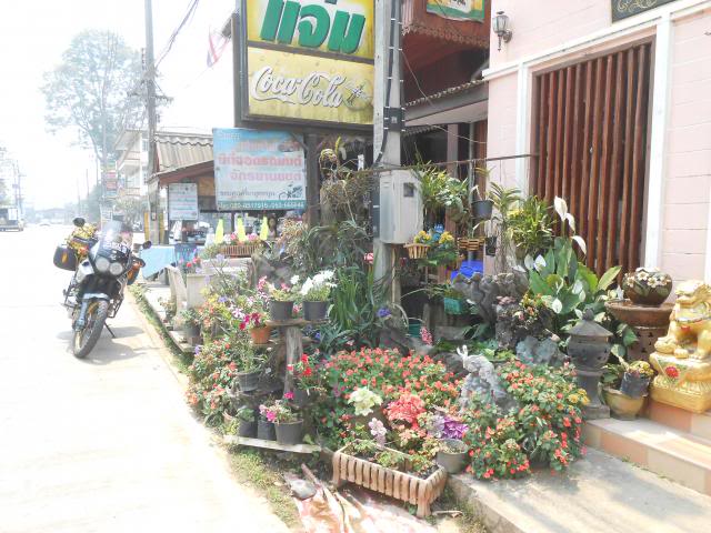 DSCN2454.jpg