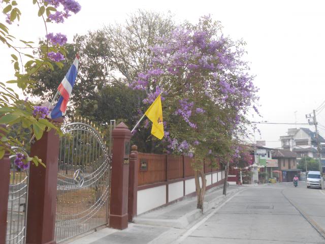 DSCN2484.jpg
