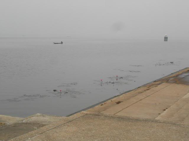 DSCN2500.jpg