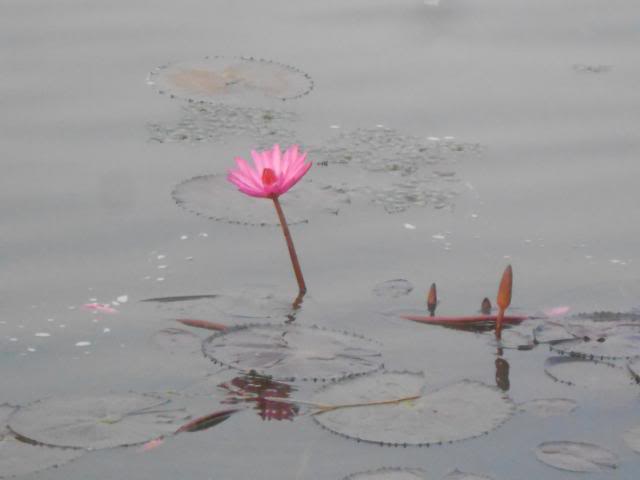 DSCN2503.jpg