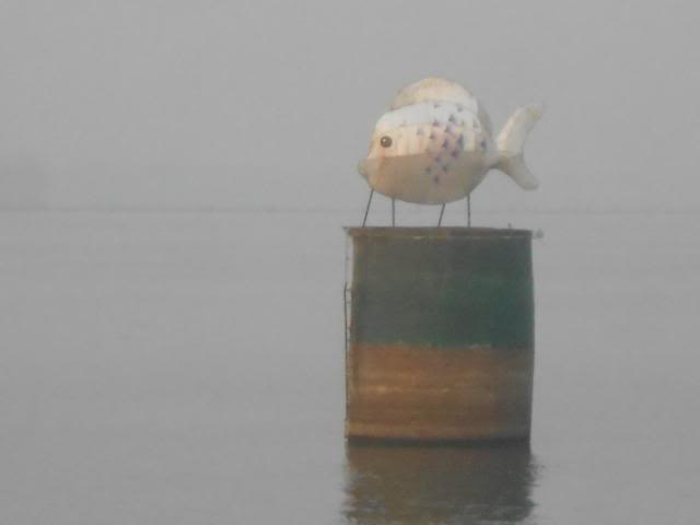 DSCN2516.jpg