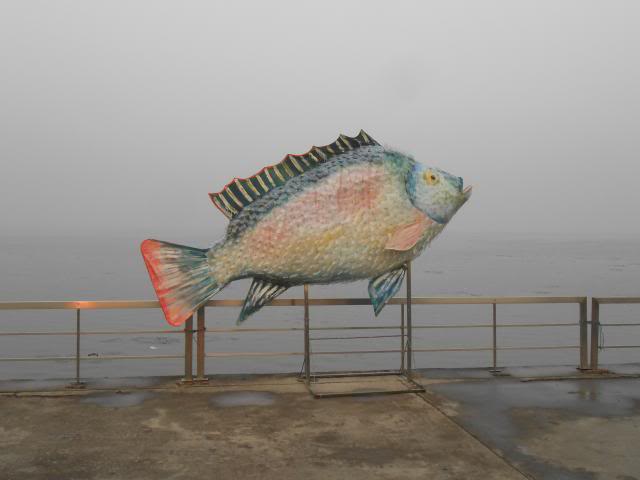 DSCN2526.jpg