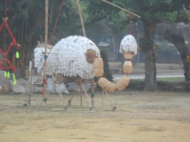 DSCN2527.jpg