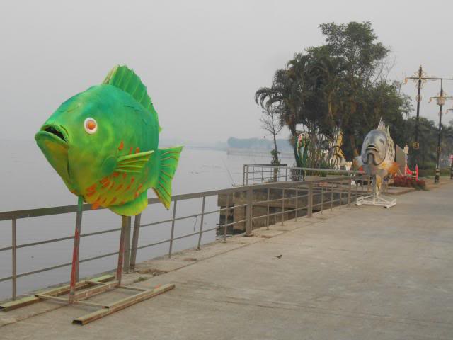 DSCN2530.jpg