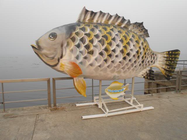 DSCN2531.jpg