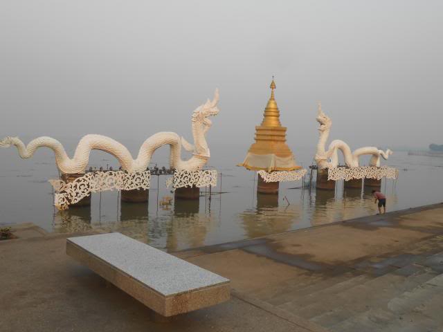 DSCN2533.jpg
