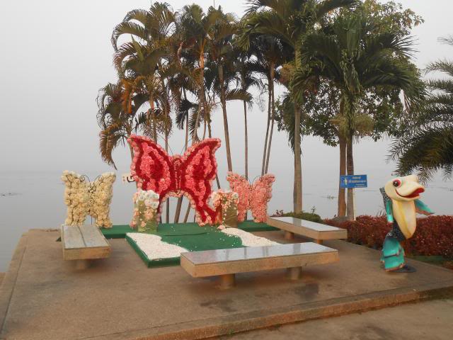 DSCN2534.jpg