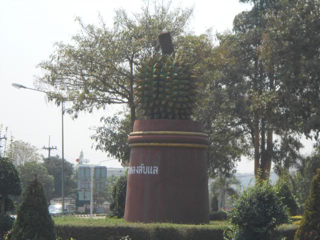 DSCN2575.jpg