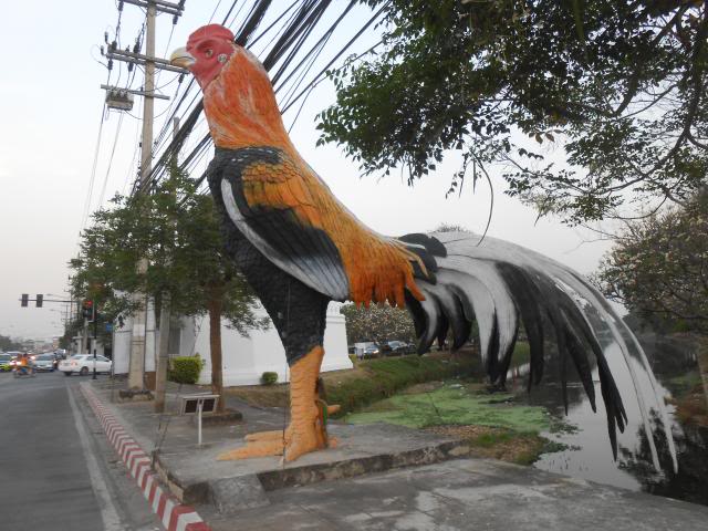 DSCN2622.jpg