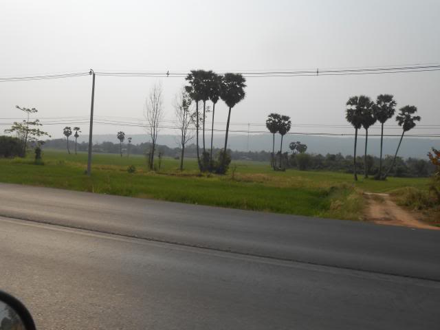 DSCN2661.jpg
