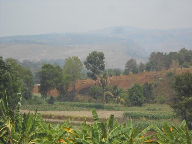 DSCN2784.jpg