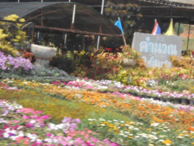 DSCN2807.jpg