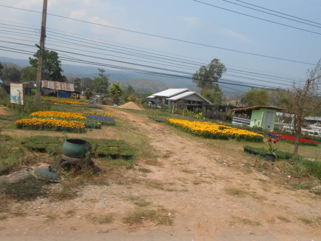 DSCN2814.jpg
