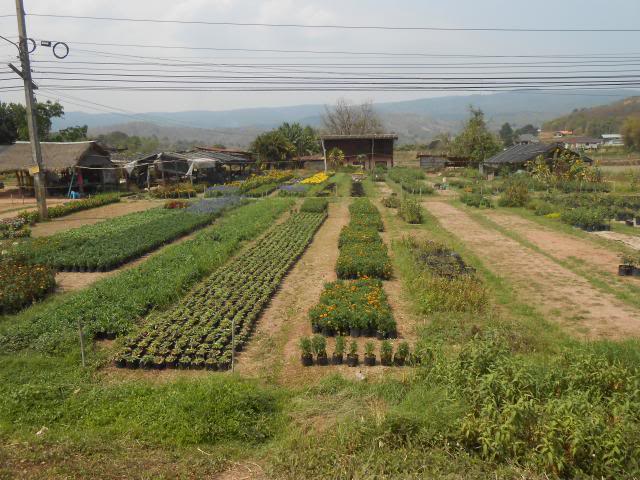 DSCN2815.jpg