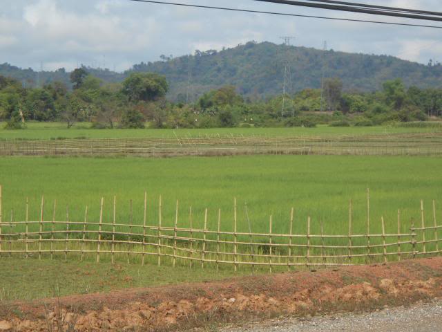 DSCN3035.jpg