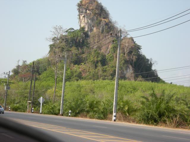 DSCN3104.jpg