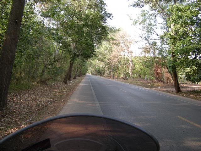 DSCN3110.jpg