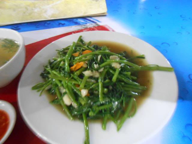 DSCN3162.jpg