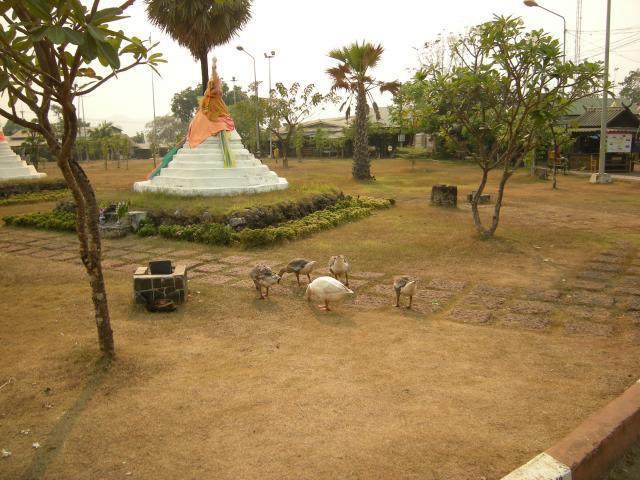 DSCN3186.jpg
