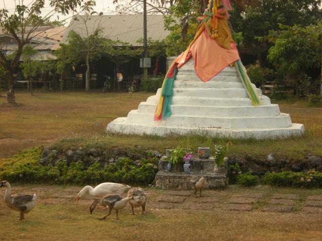 DSCN3189.jpg