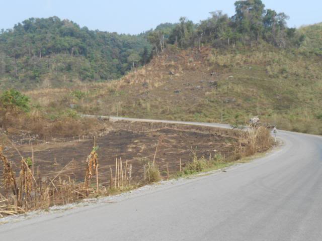 DSCN3229.jpg