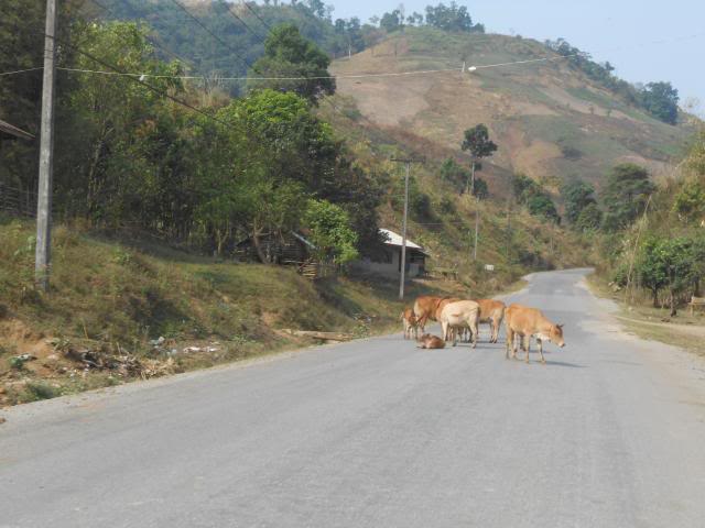 DSCN3233.jpg