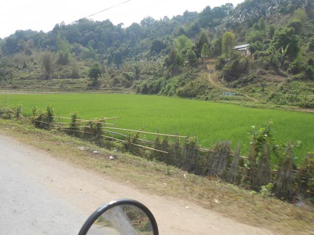 DSCN3269.jpg