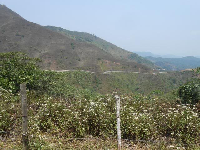 DSCN3357.jpg