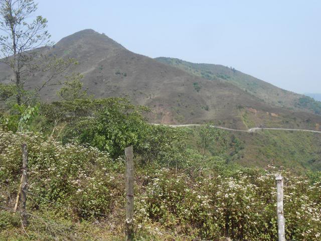 DSCN3358.jpg