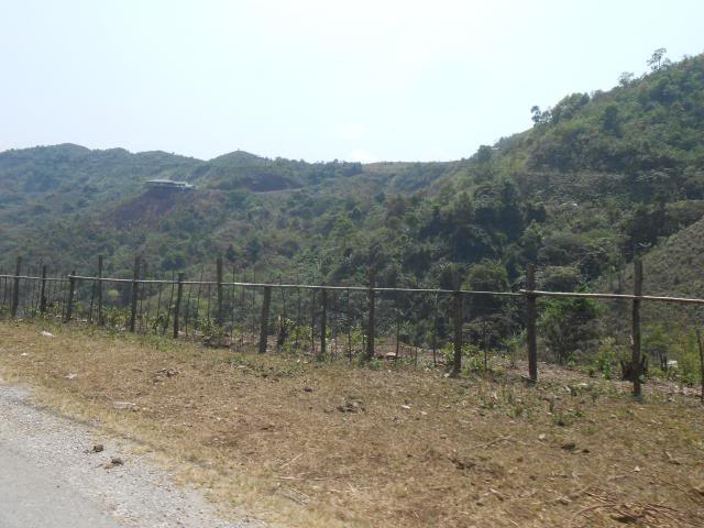 DSCN3371.jpg