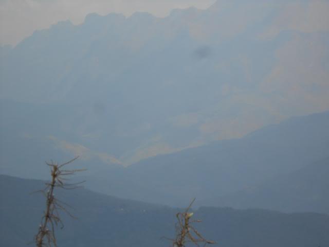 DSCN3431.jpg