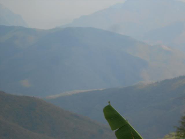 DSCN3435.jpg