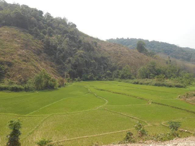 DSCN3489.jpg