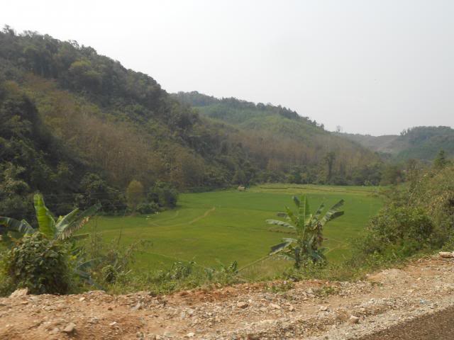 DSCN3493.jpg