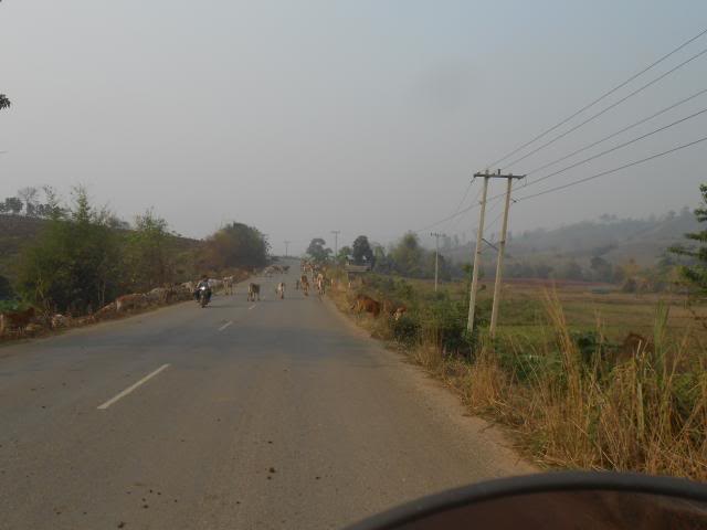 DSCN3614.jpg