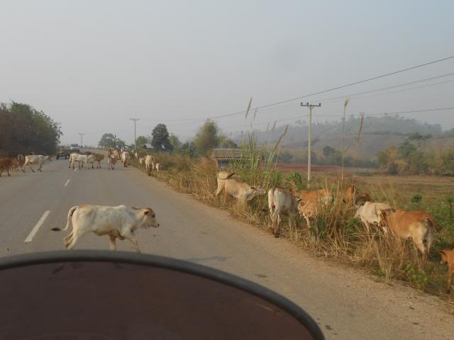 DSCN3616.jpg