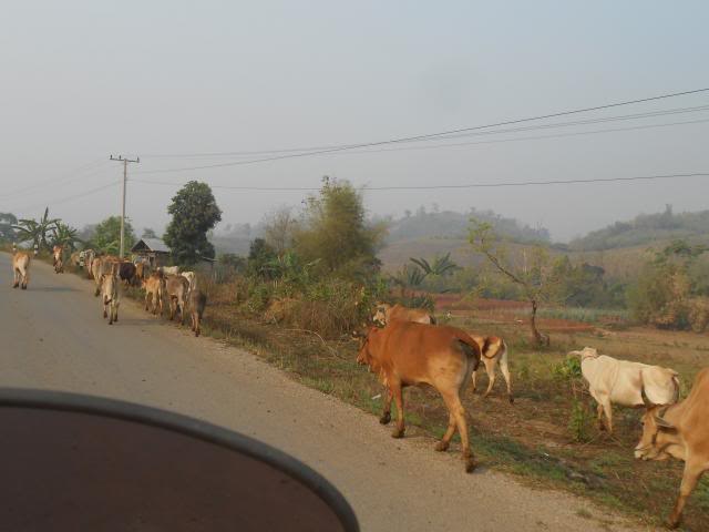 DSCN3617.jpg