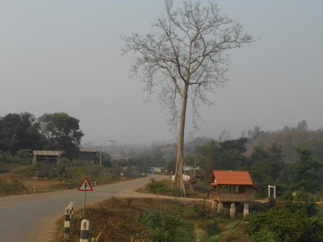 DSCN3620.jpg