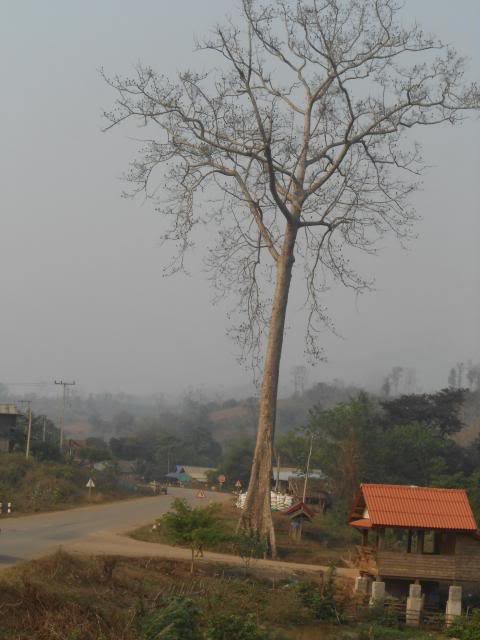 DSCN3621.jpg