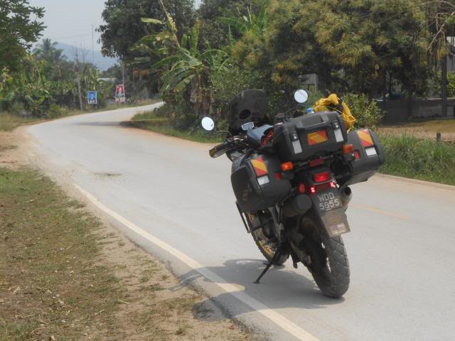 DSCN3719.jpg