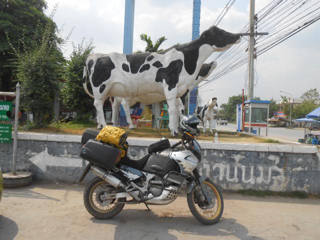 DSCN3748.jpg