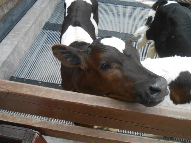 DSCN3765.jpg