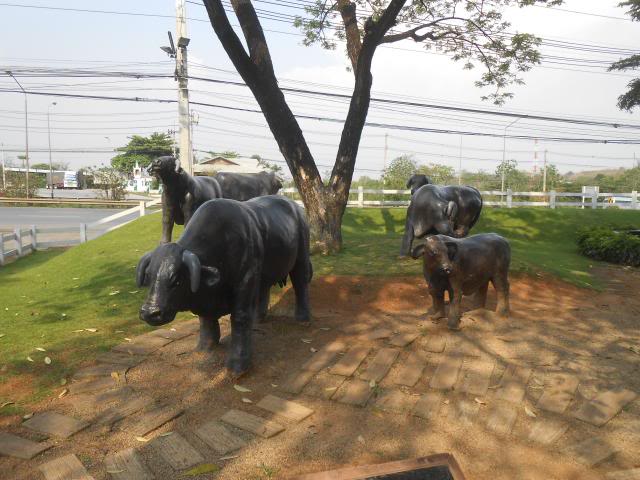 DSCN3770.jpg