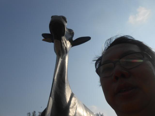 DSCN3776.jpg