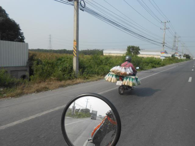 DSCN3802.jpg