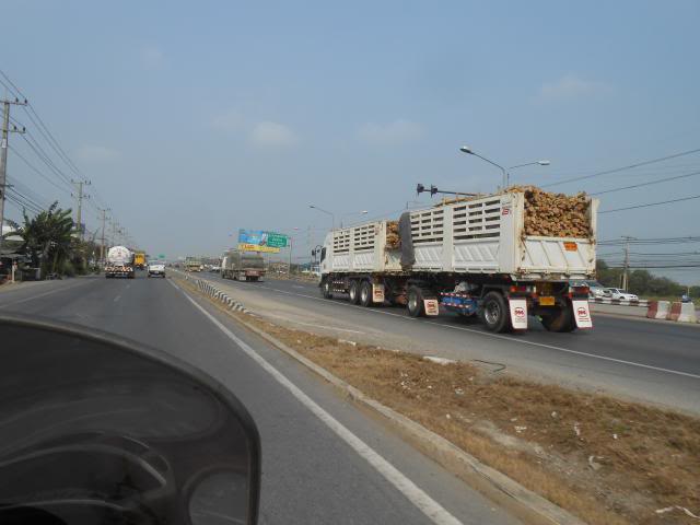 DSCN3804.jpg